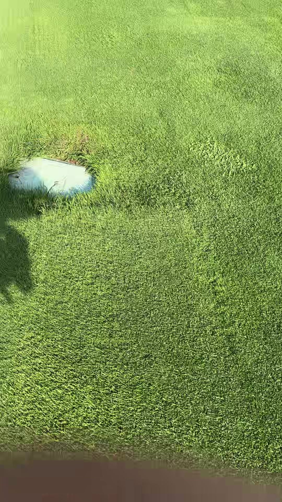 @lucas_baraket_golf