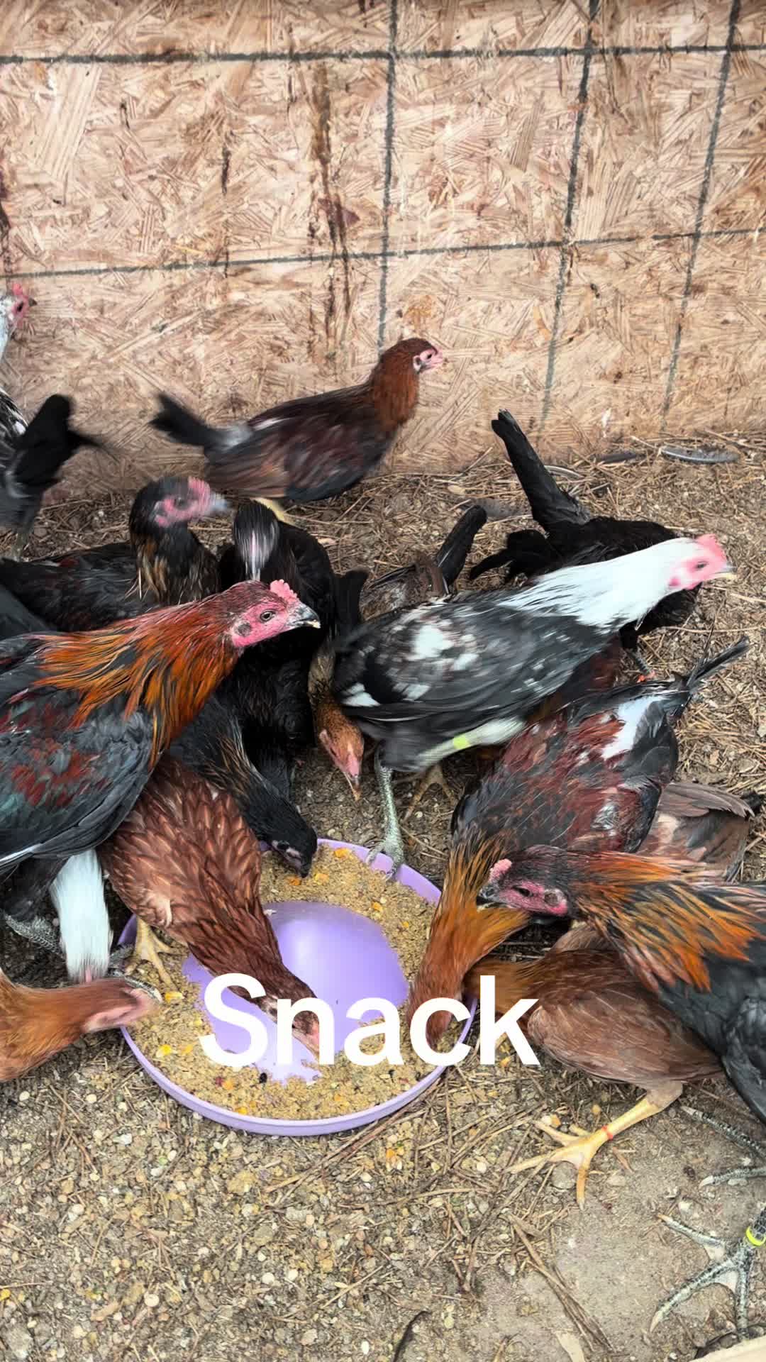 @A.MENDOZA.FARM.USA 74HWY