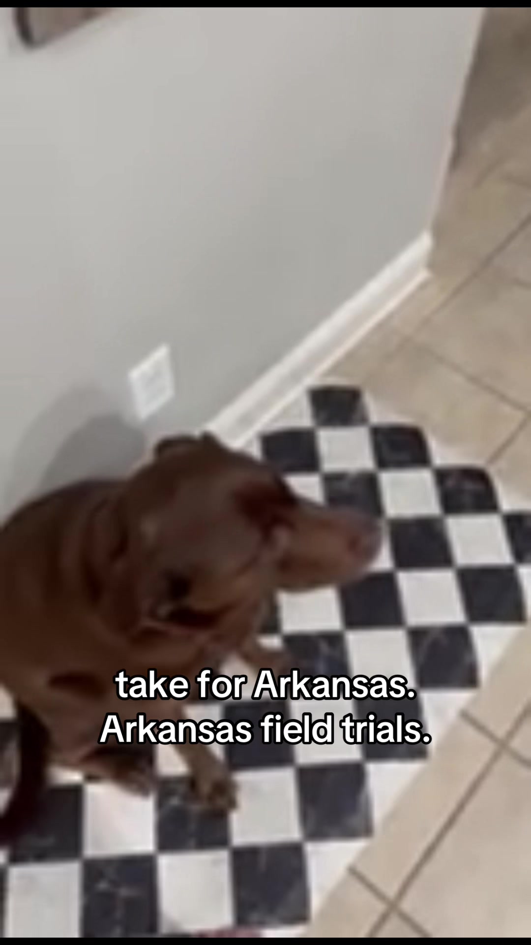 @Jenna