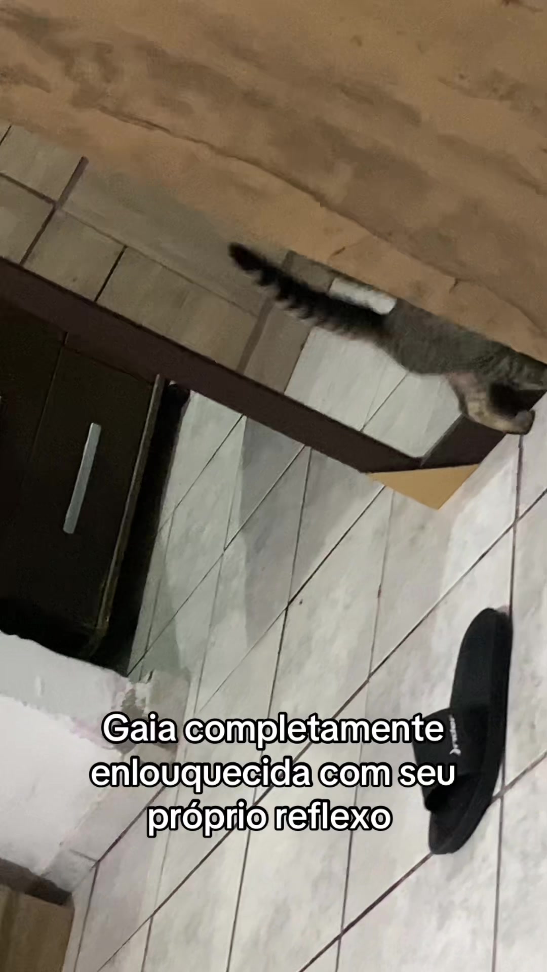 @Viannaves