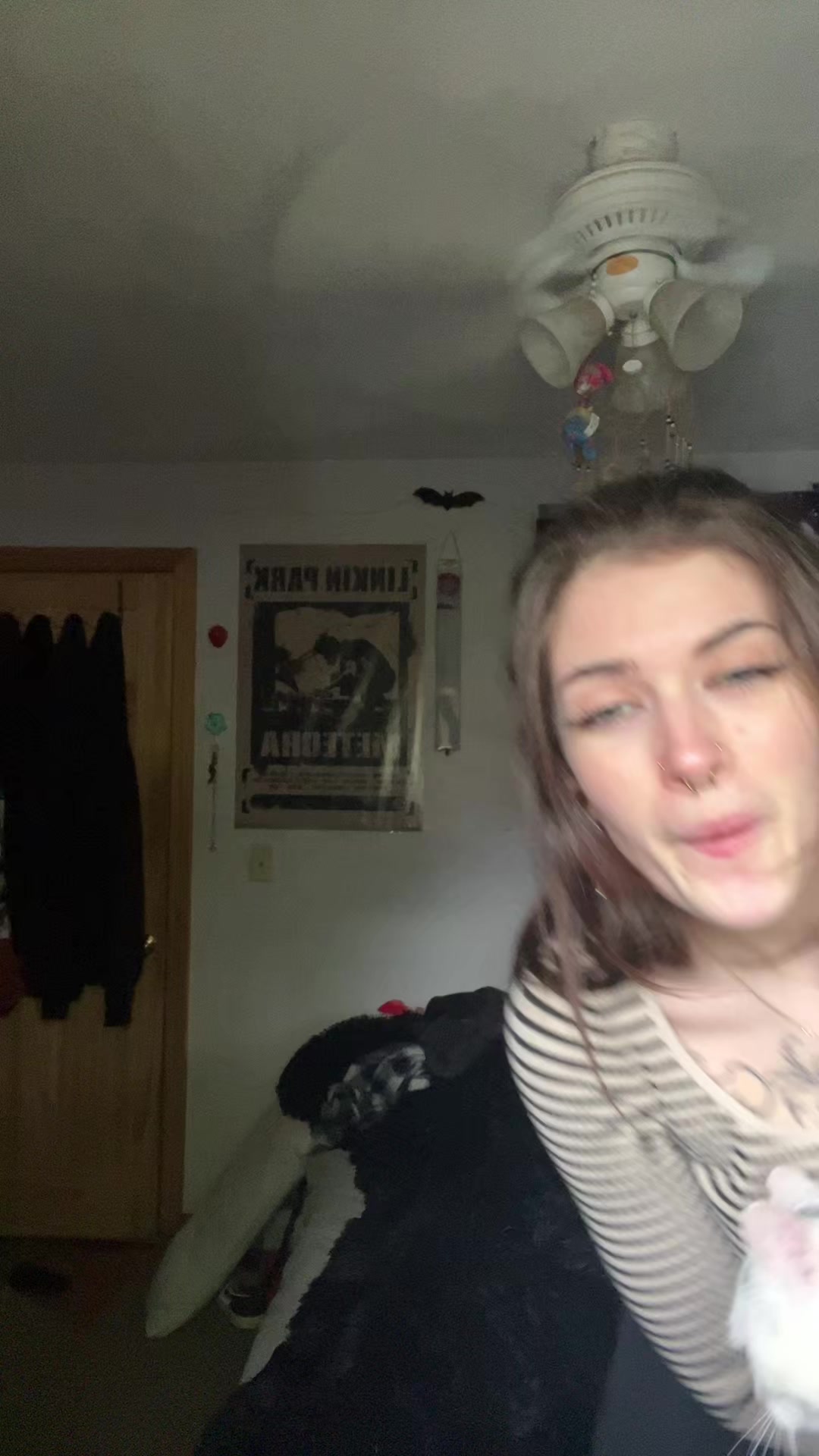 @𝔞𝔩𝔶𝔵