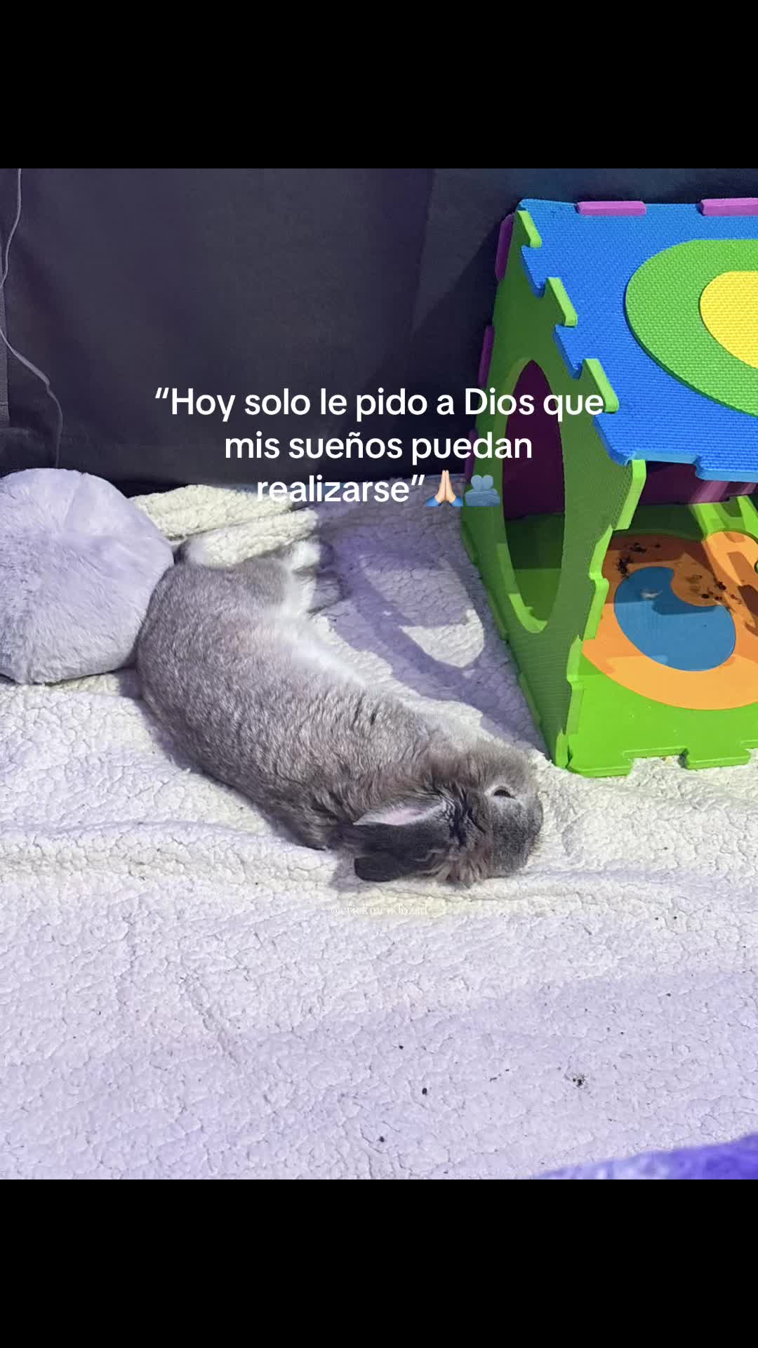 @8luisplaza8