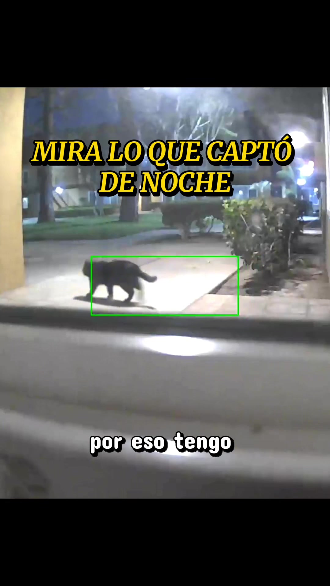 @ElMike