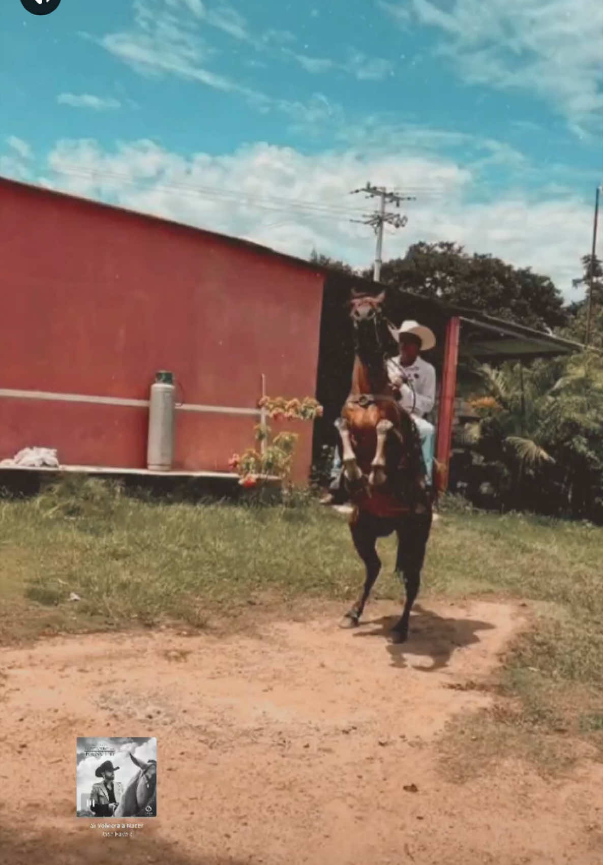 @Alexanzueto🤠☘️
