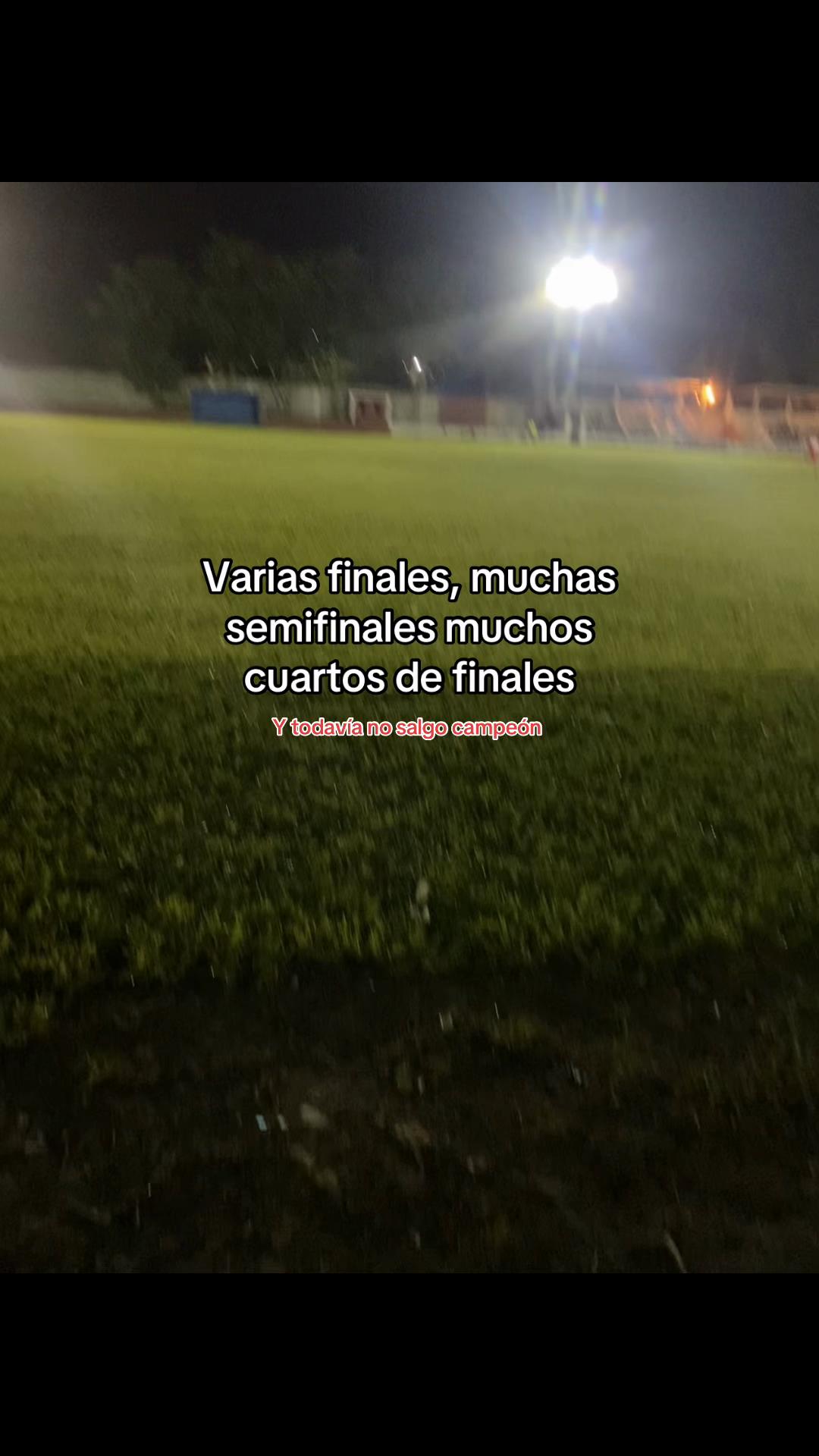 @P🐻