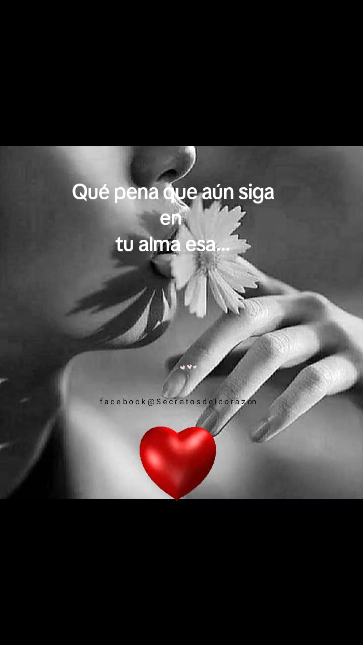 @❤️yeya❤️