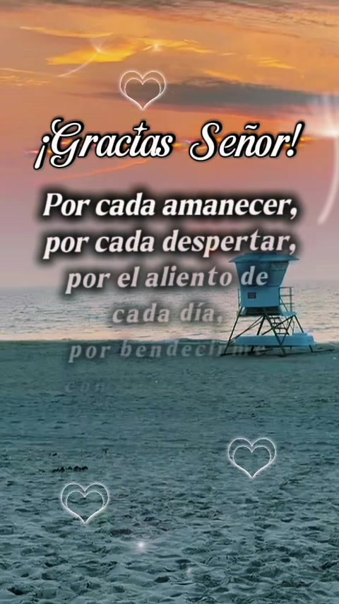 @Zoila✨🦋