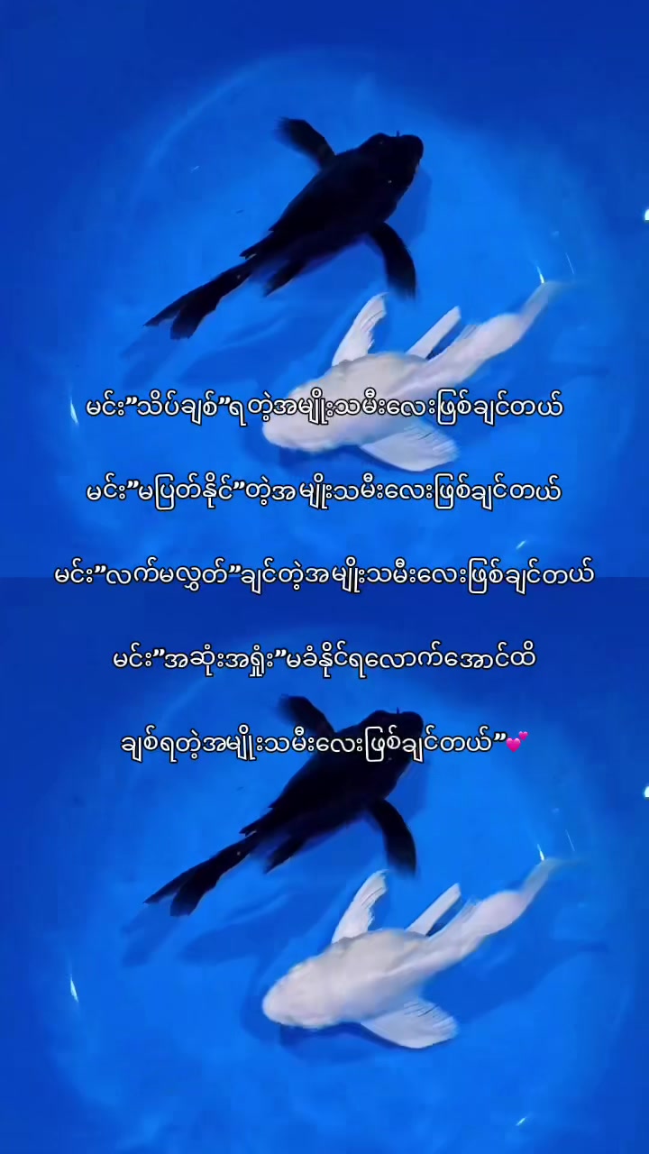 @𝐊𝐡𝐚𝐢𝐧𝐠🪼(ခိုင်မွန်သန့်)