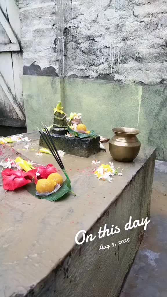 @Mina Shriwasatav