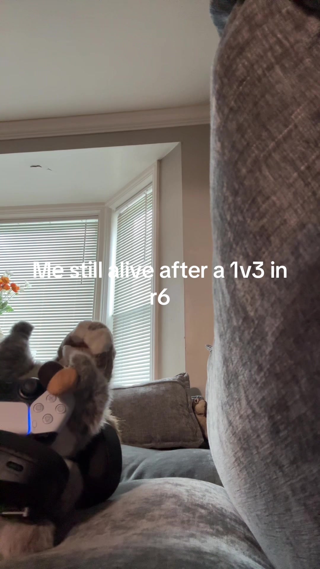 @Apple squirrel