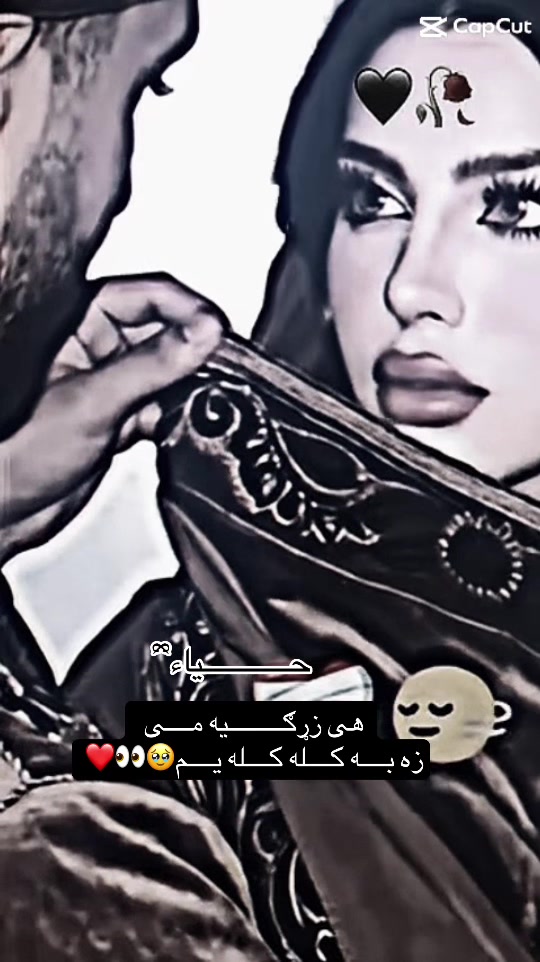 @𓆩حـــــــــــــــیاء𓆪