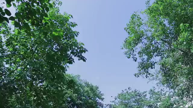 @Jeromzy39