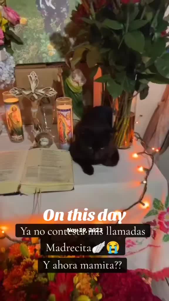 @Maria Irene Hernandez