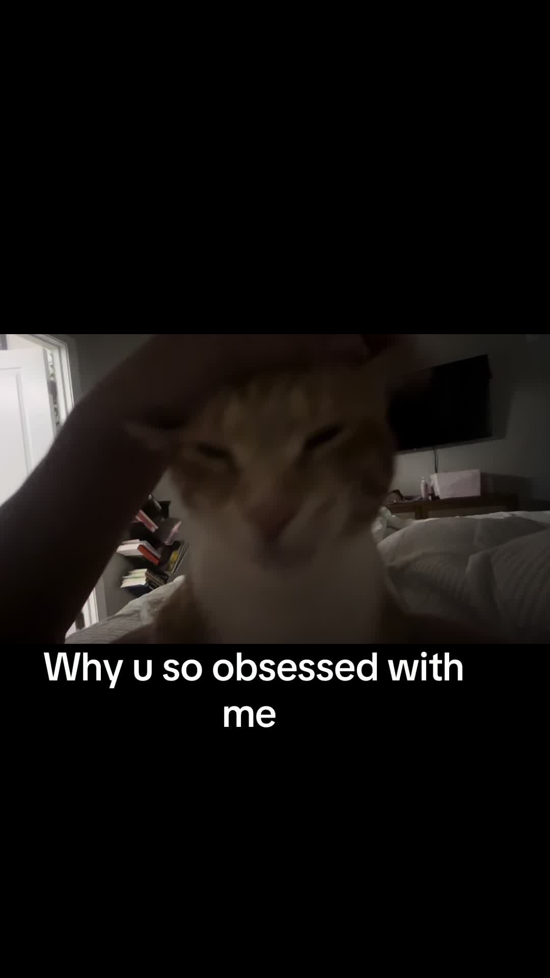 @Vikileigh111