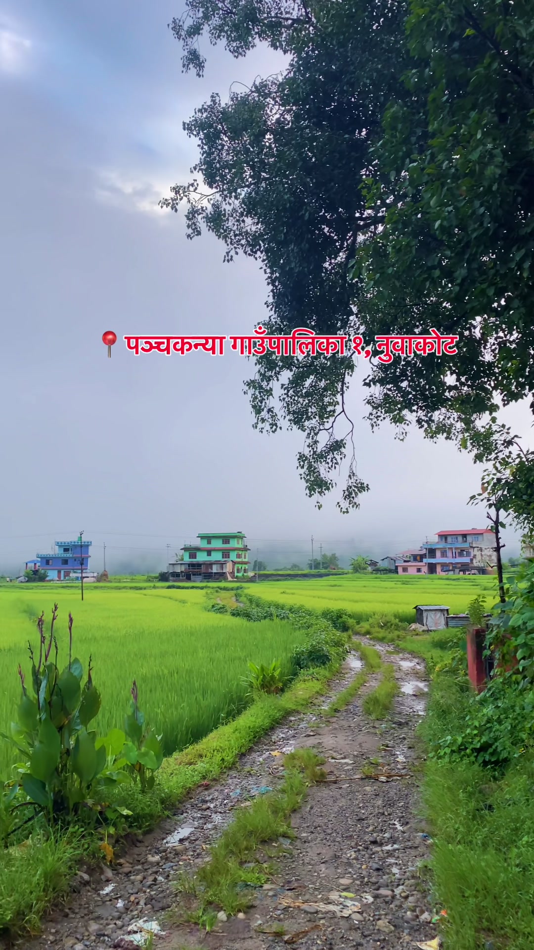 @ganeshexplore