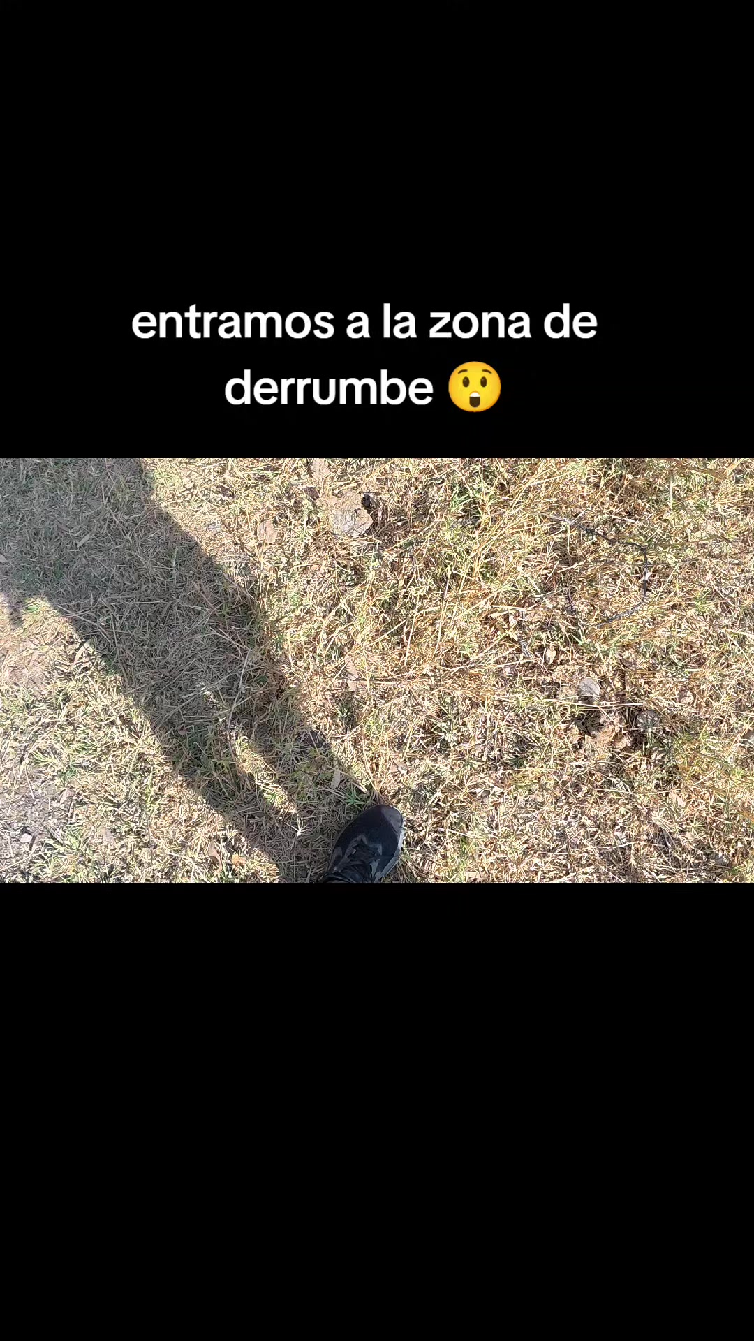 @TapatíoenRuta@