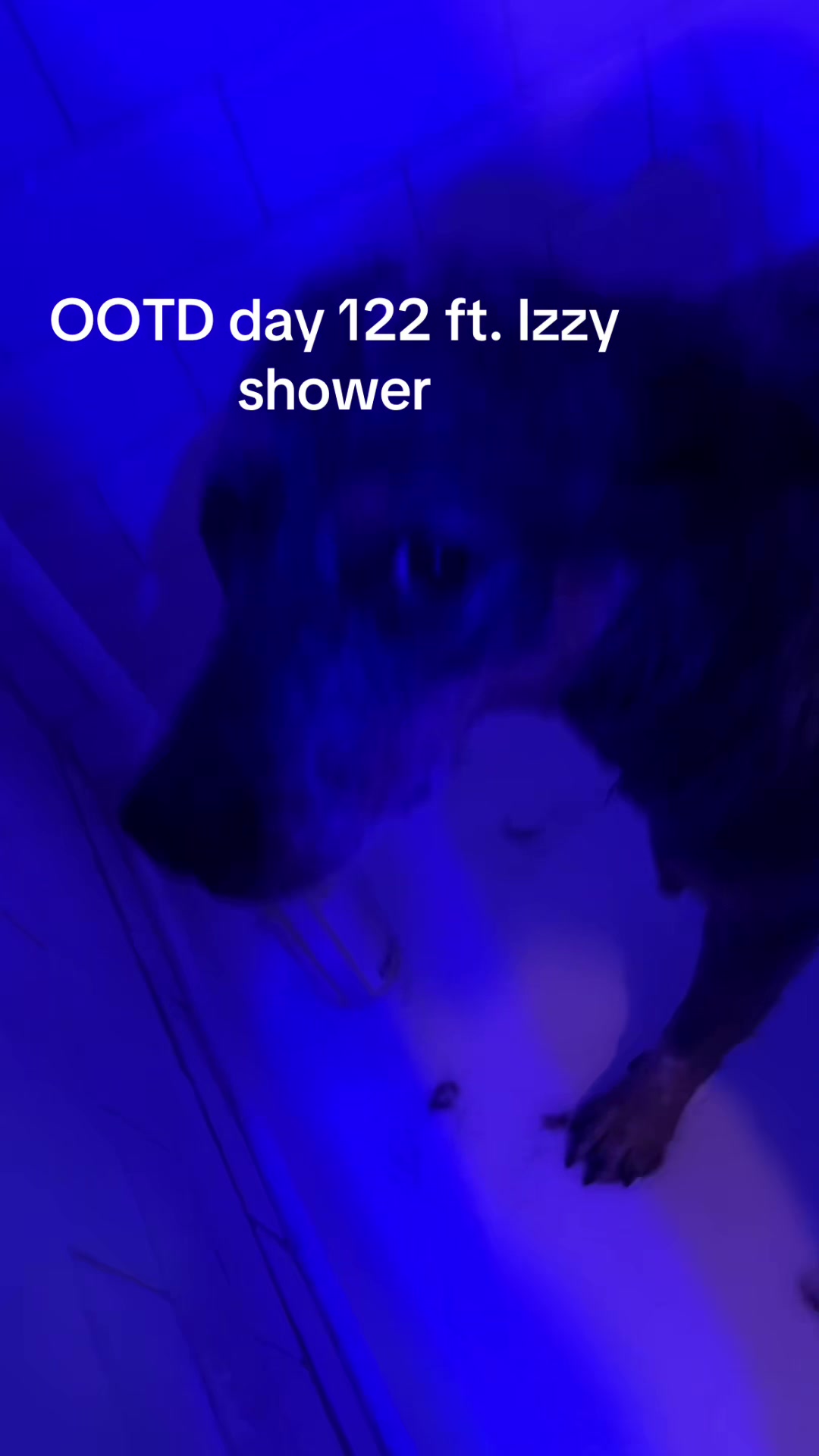 @evilest.guy