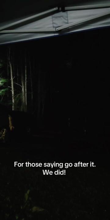 @👻✨Porchlight Paranormal✨👻