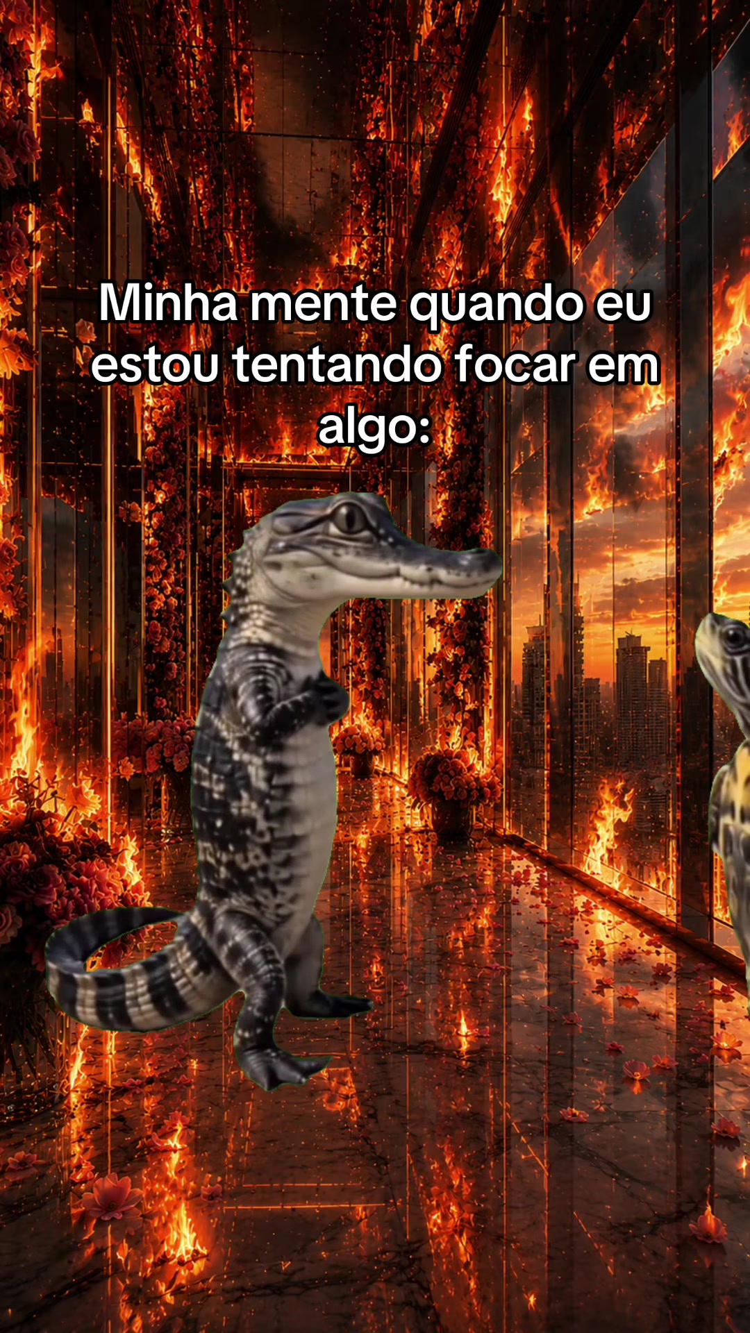 @tababadeira