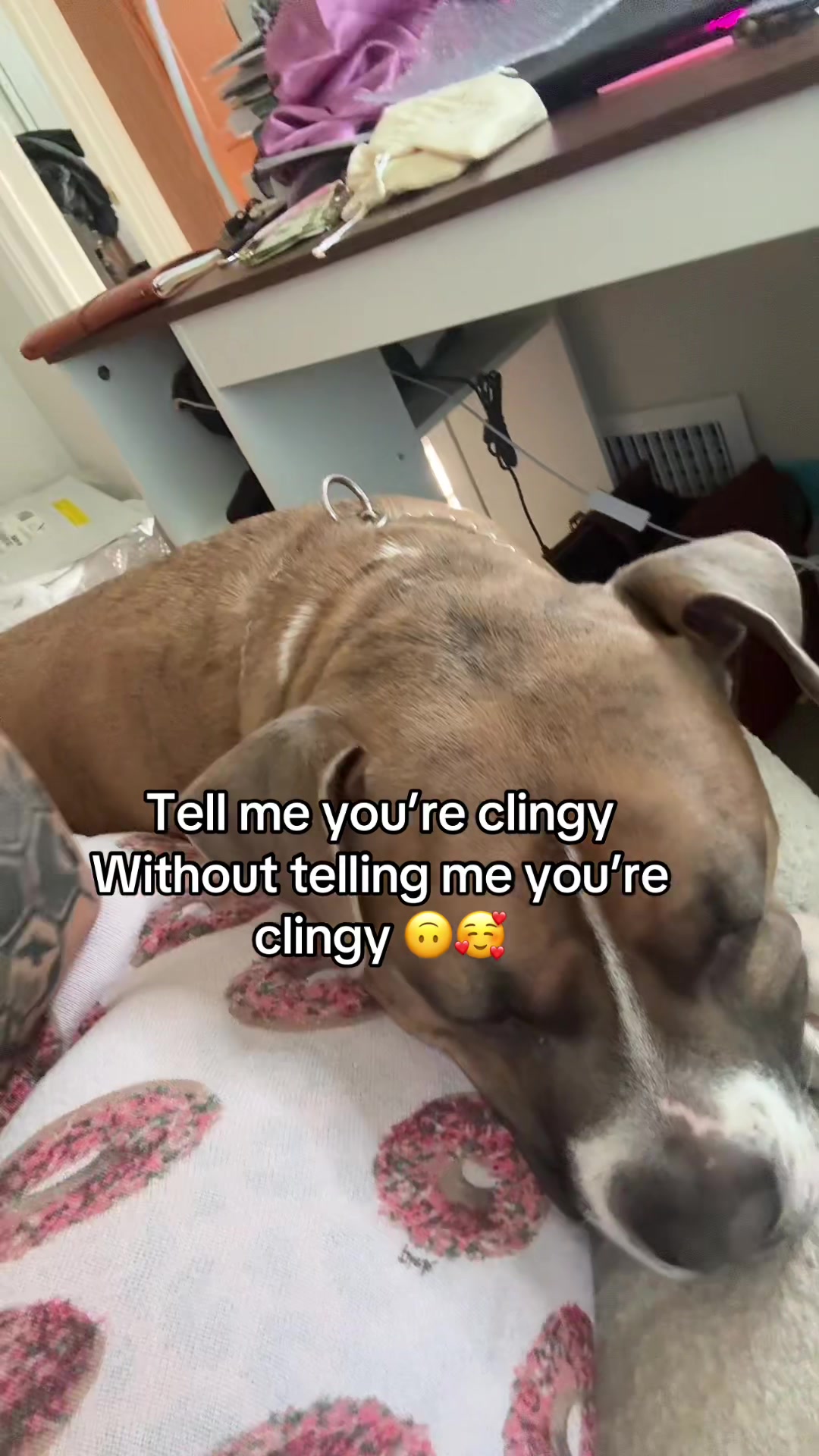 @To0thlessQueen💋
