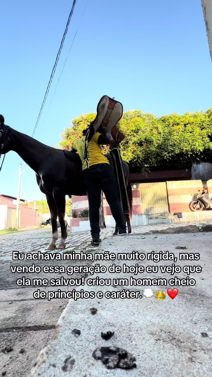 @Luiz Henrique