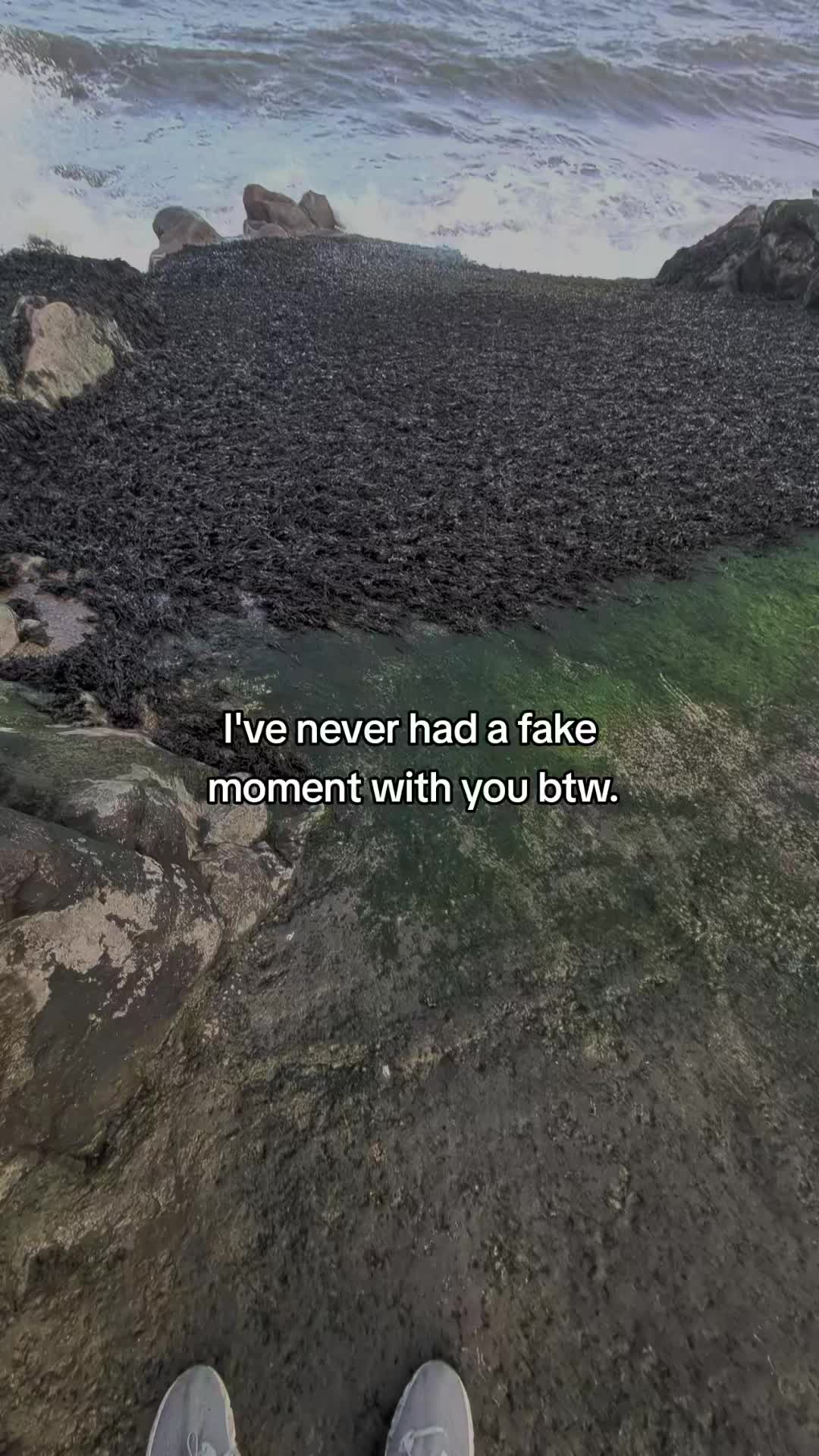 @quotes