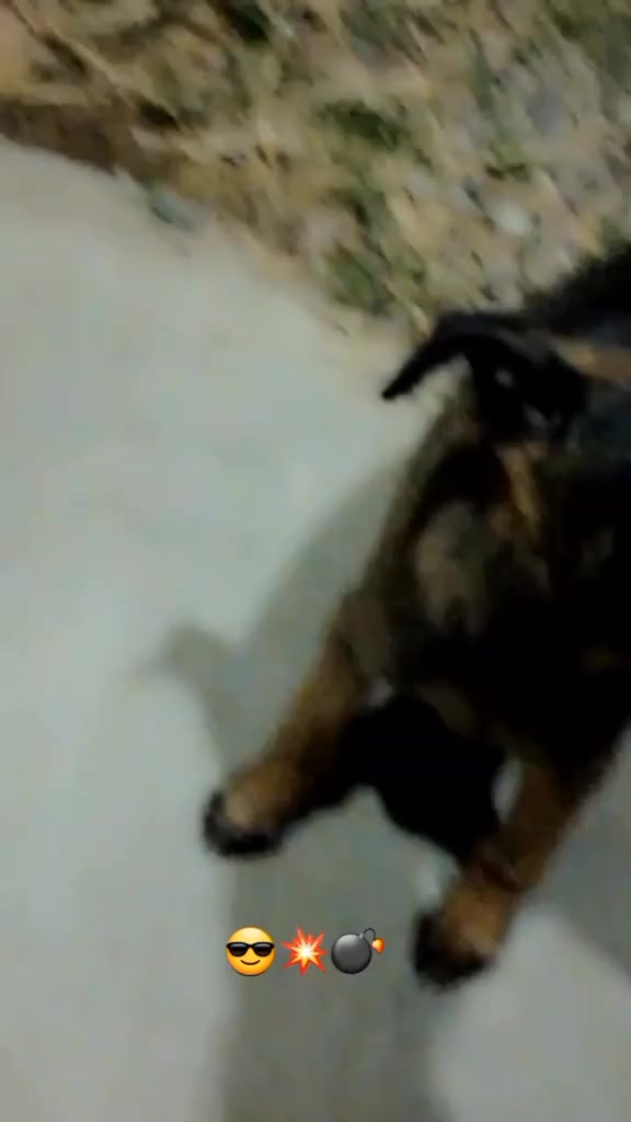 @๐ฅโ๏ธ๐๐๐๐๐๐๐๐ฒ๐ฝ๐งโ๏ธ