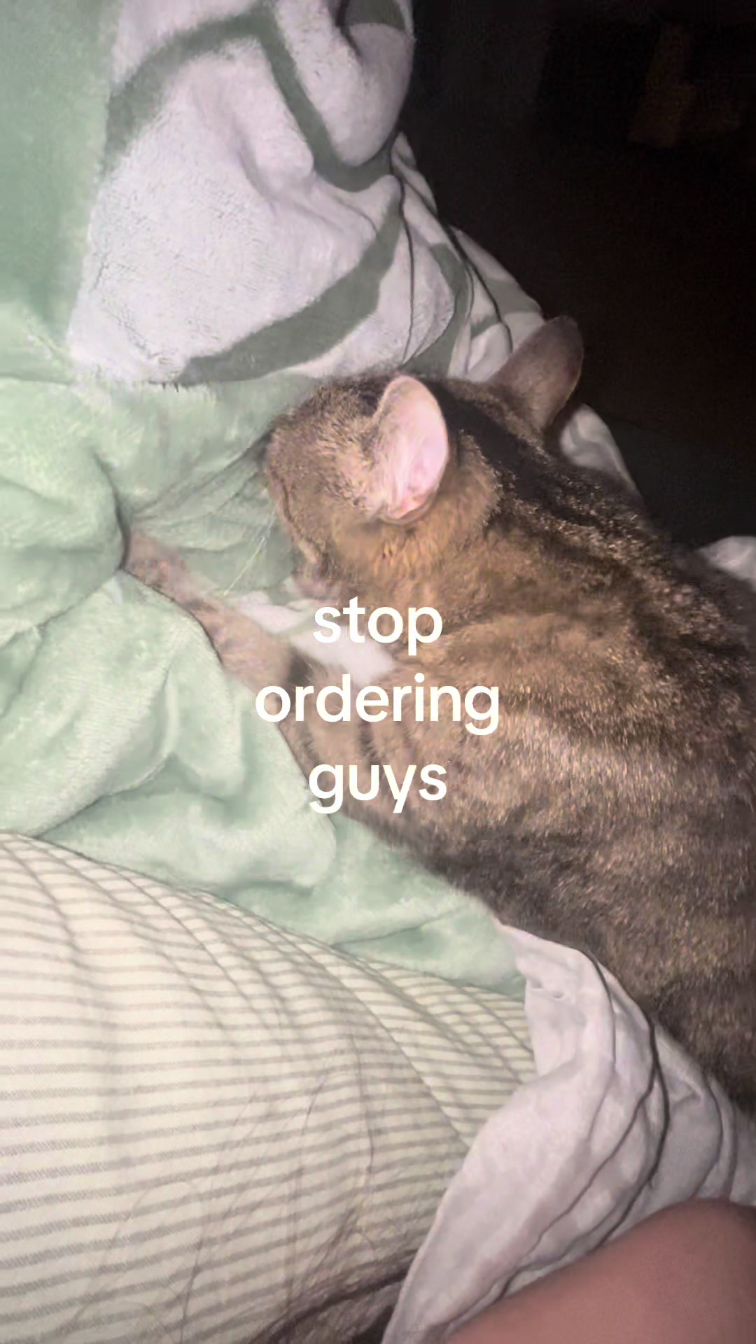 @‧₊˚✧VIV✧˚₊‧