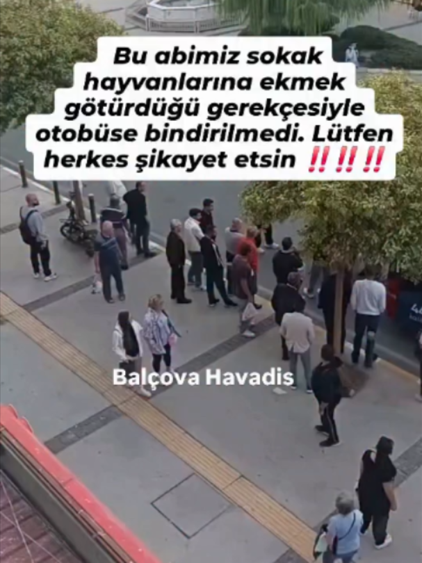 @kedifanatikleri