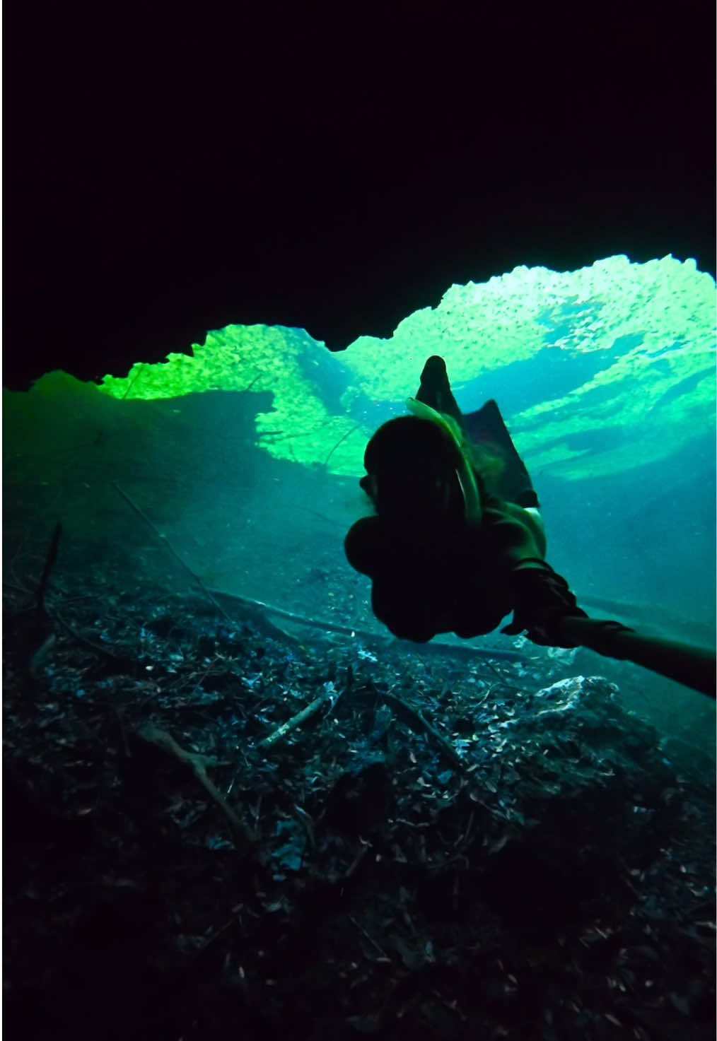 @Coralia Dives 🧜&zwj;♀️