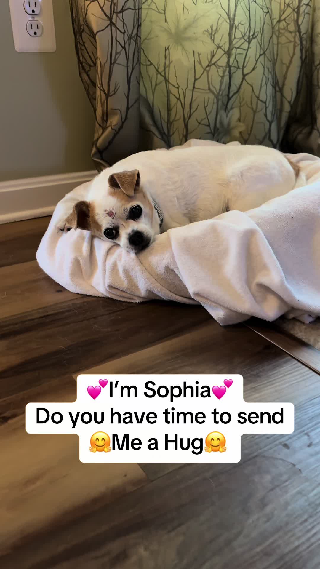 @MaresAttacks