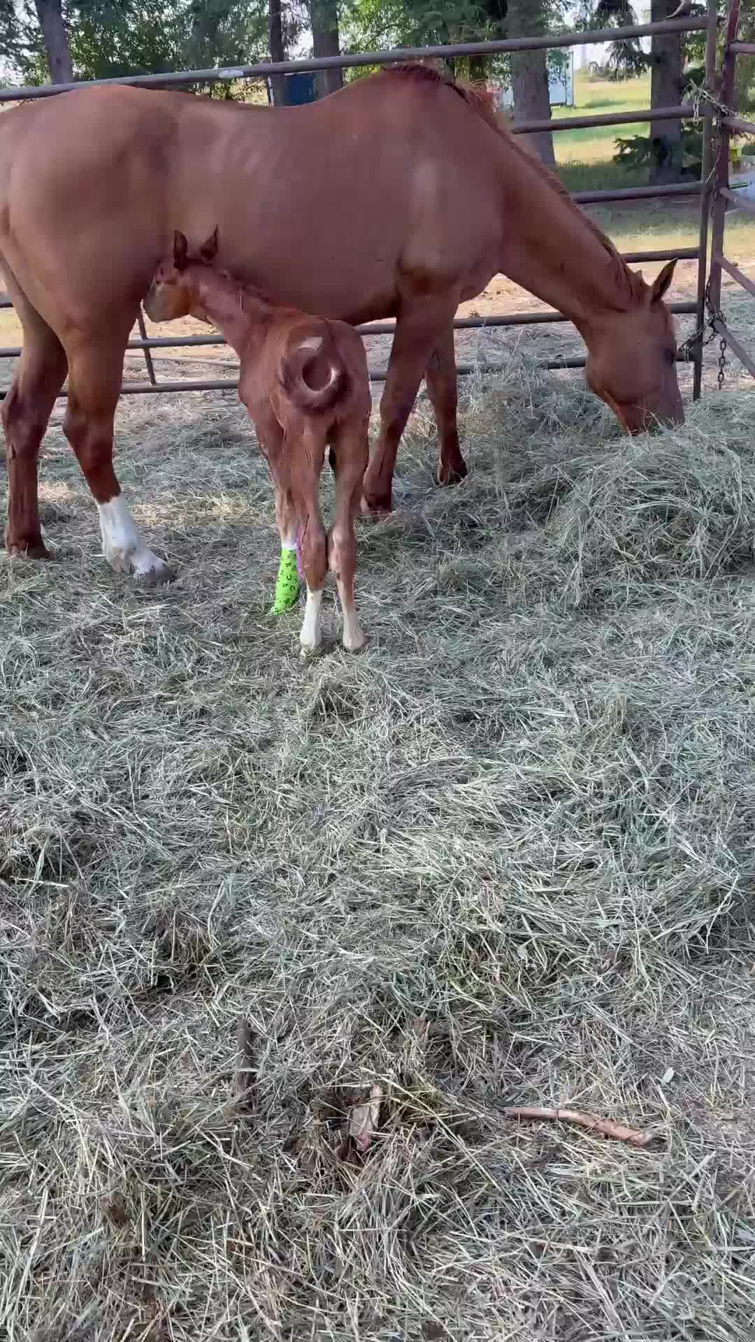 @Erin Mitchell