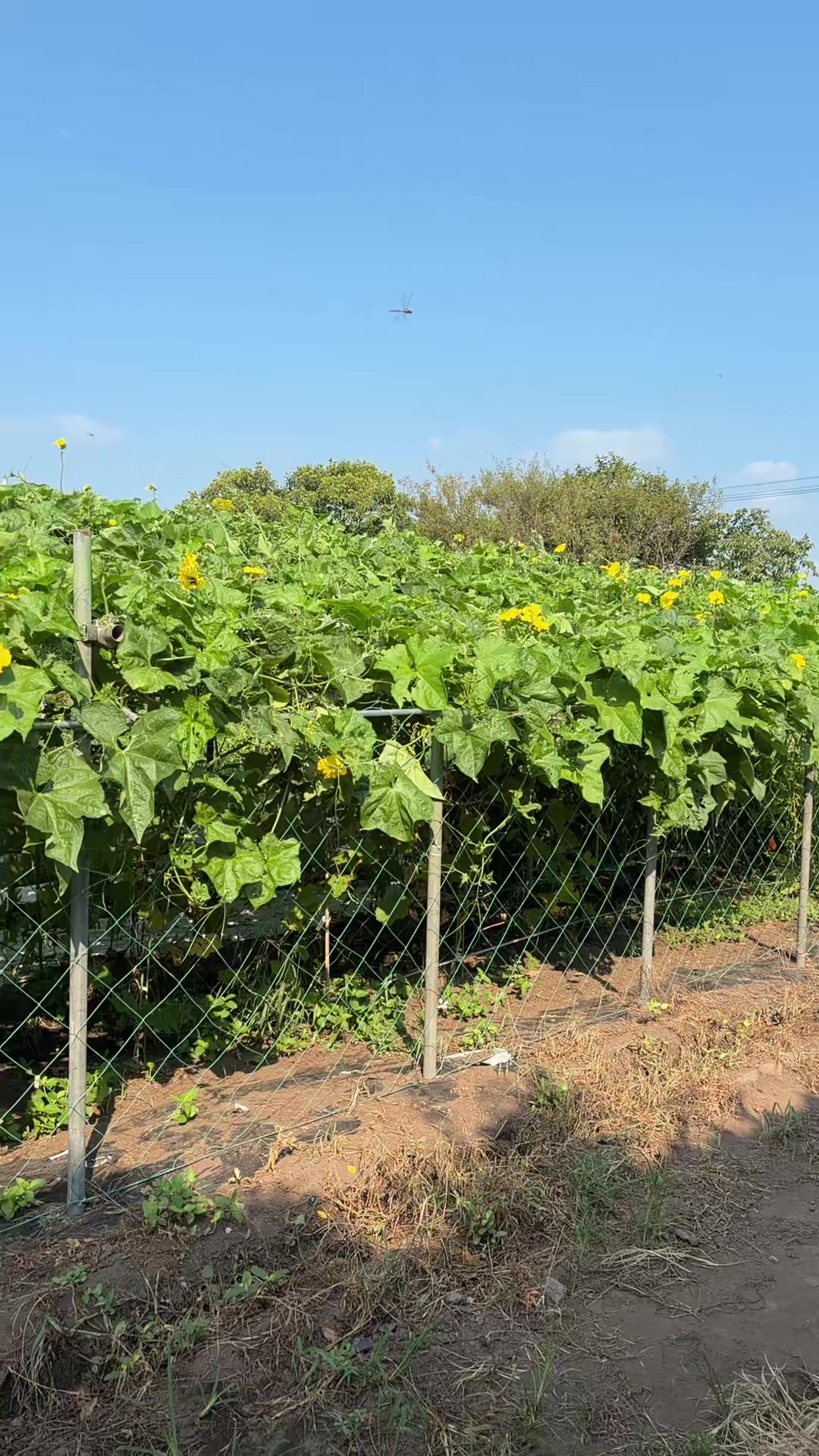 @RG Store Fukuoka LaLaport 🧿