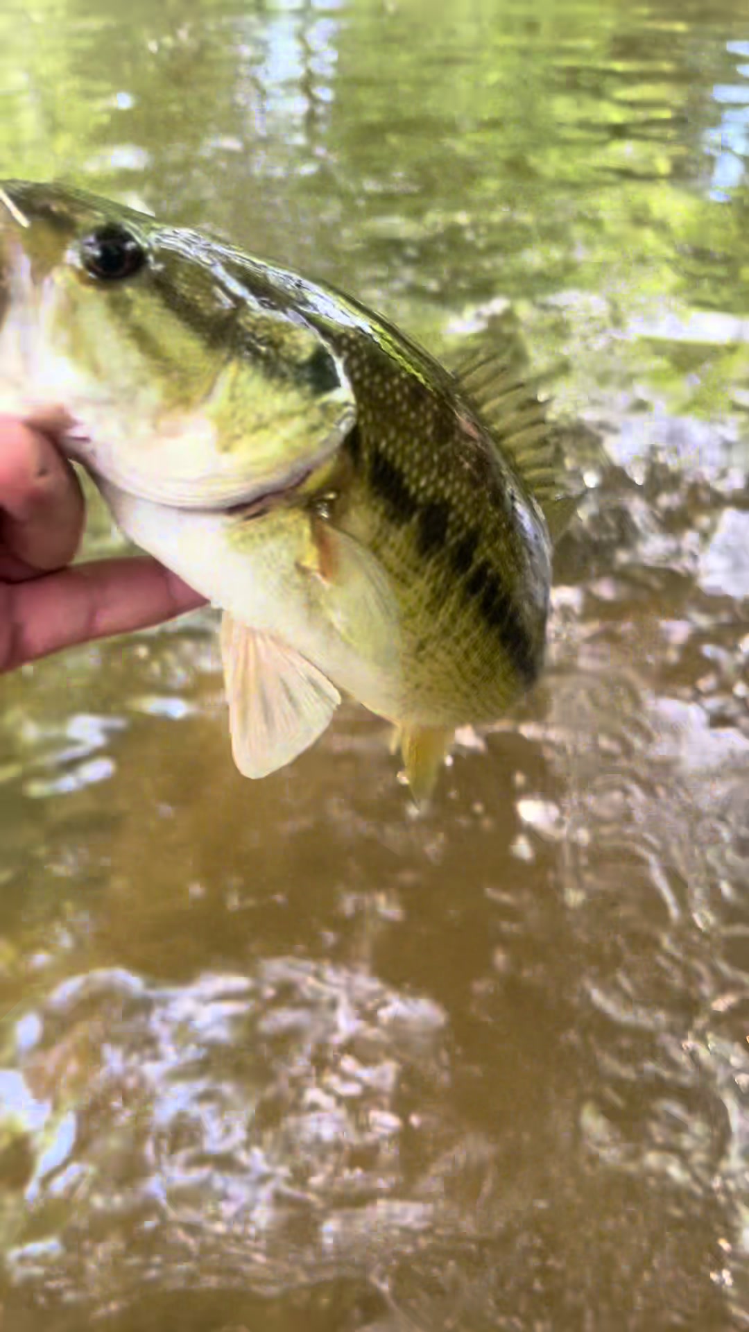 @Creek Seeker Outdoors