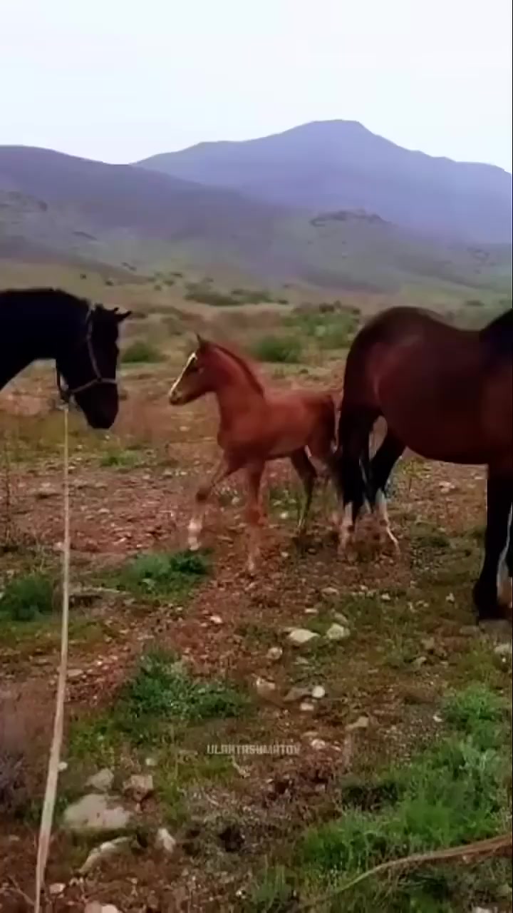 @๐๐๐๐๐๐๐๐