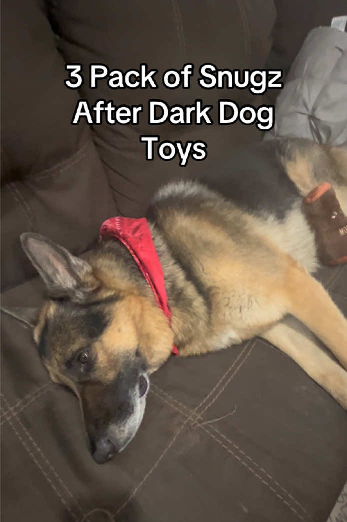 @Walter The German Shepherd