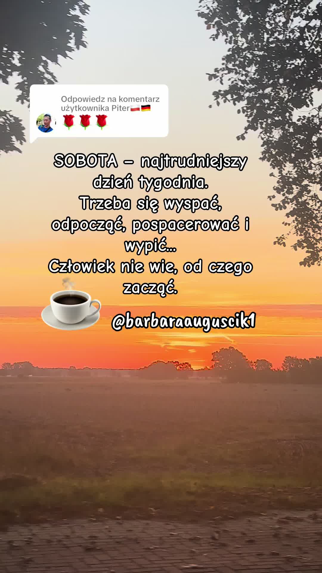 @barbaraauguscik1🇩🇪🇵🇱