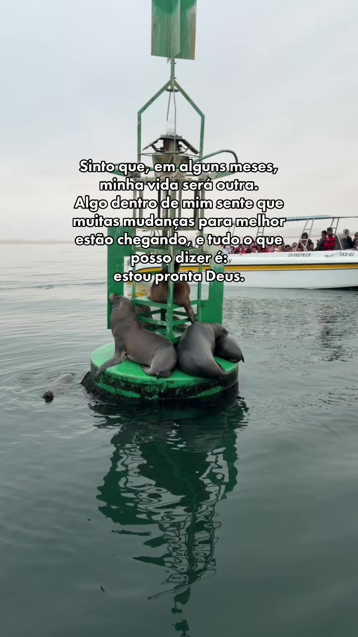 @Lohanna Osorio
