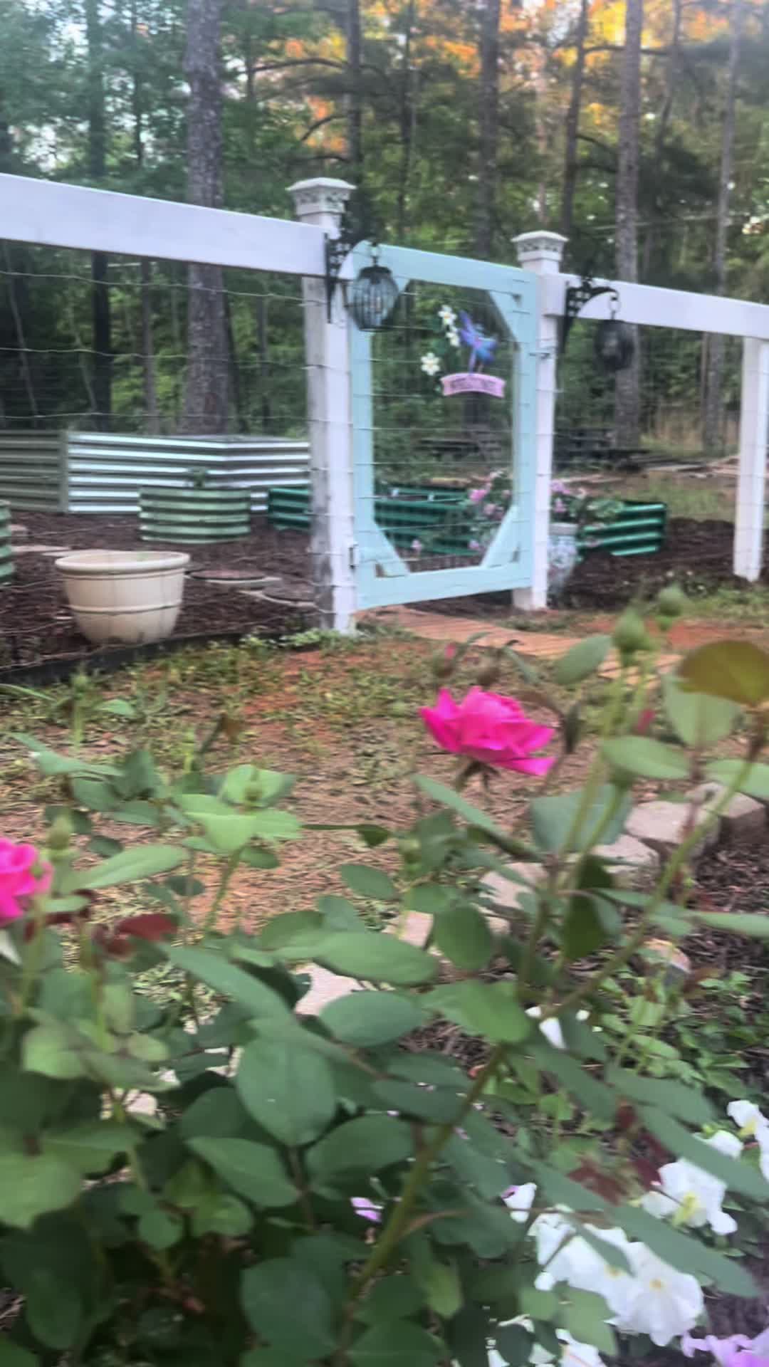 @Cottageonwynn