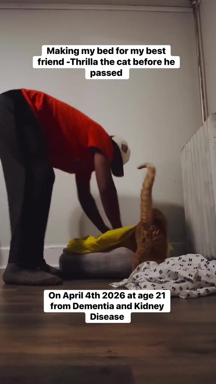 @ACatnameThrilla&aGuynamedRa