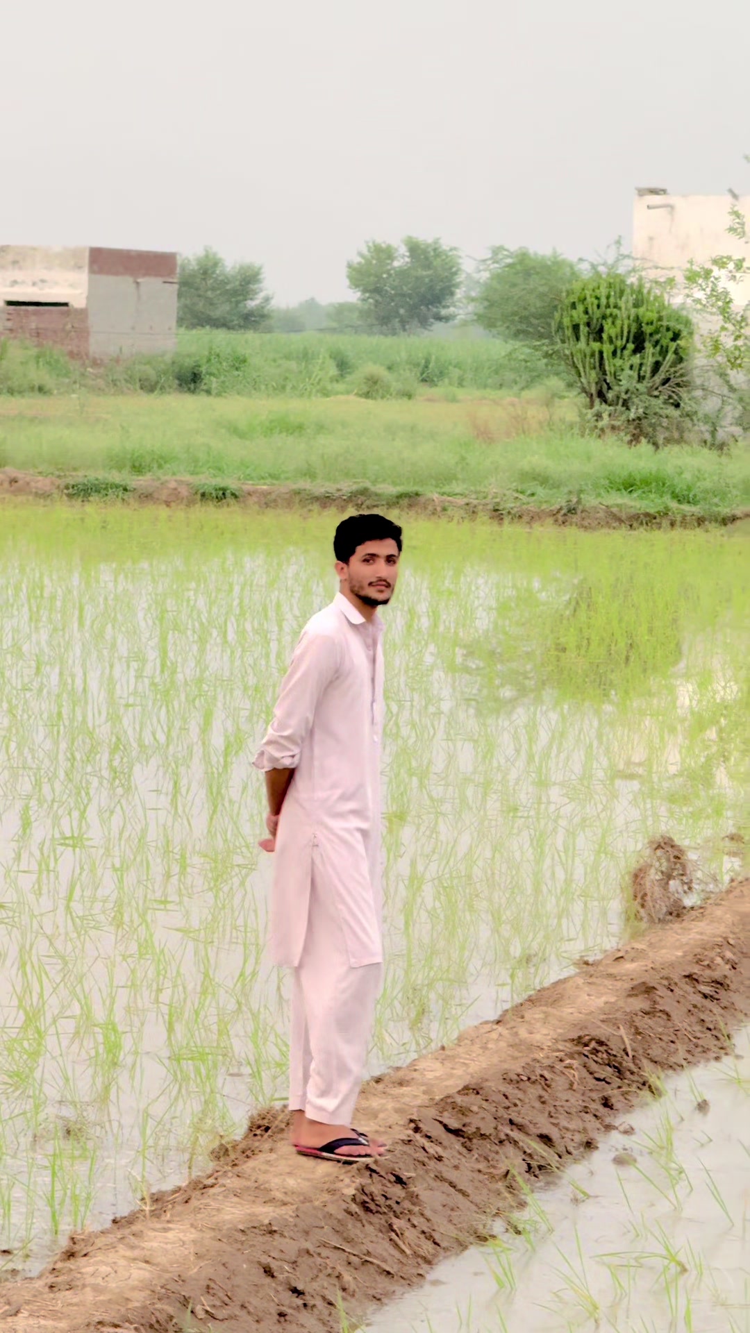 @Sardar Abdullah Bajwa 185