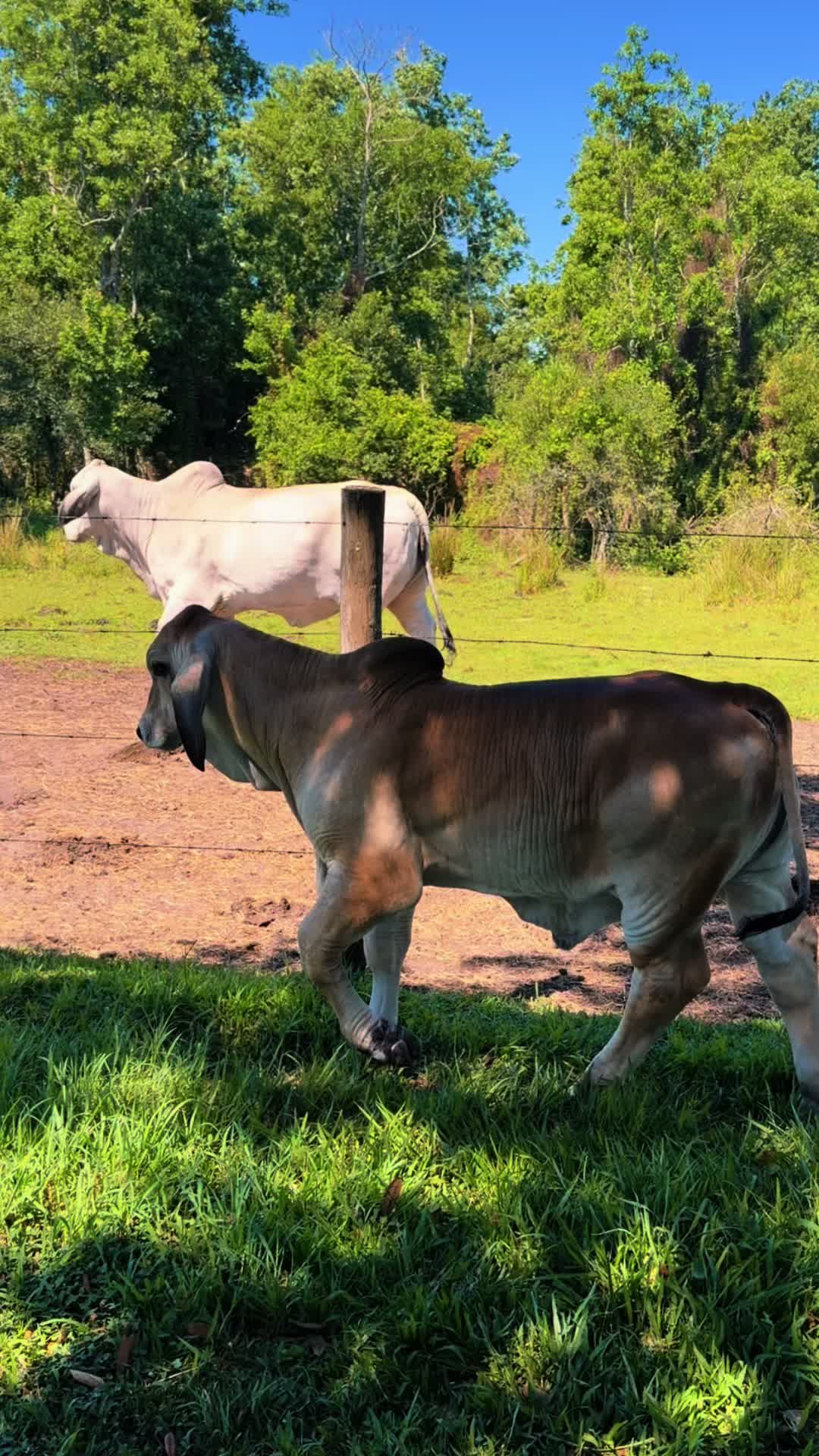 @𝐌𝐚𝐝𝐢𝐬𝐨𝐧 𝐑𝐨𝐛𝐞𝐫𝐭𝐬