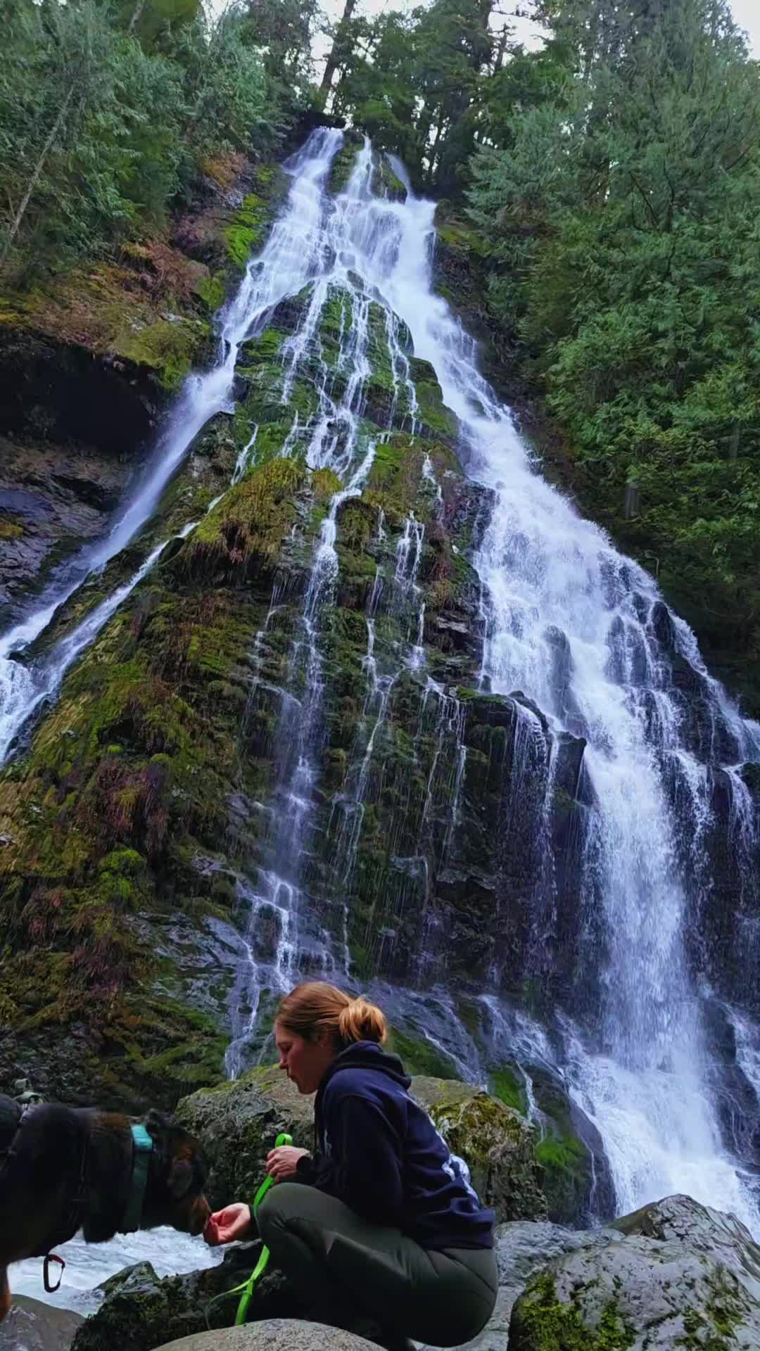 @Nicole🌲🏔🥾|PNW|