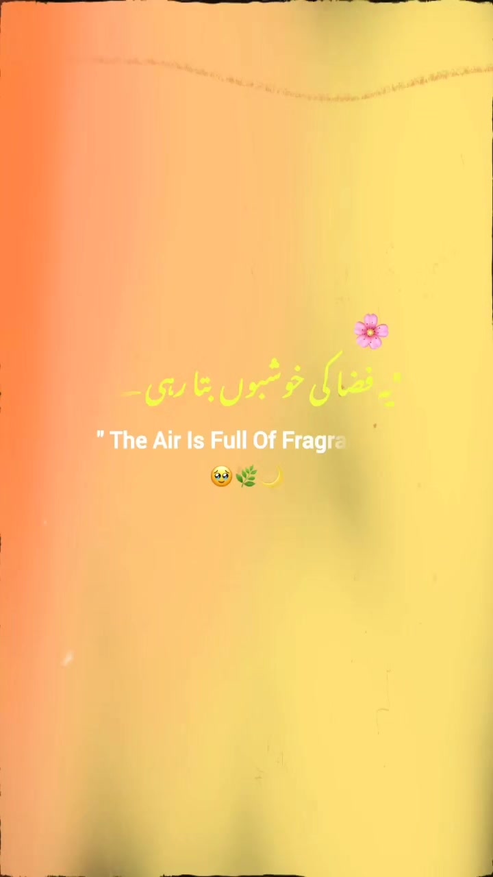 @Ali Qazi