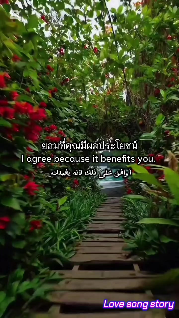 @Love song's story
