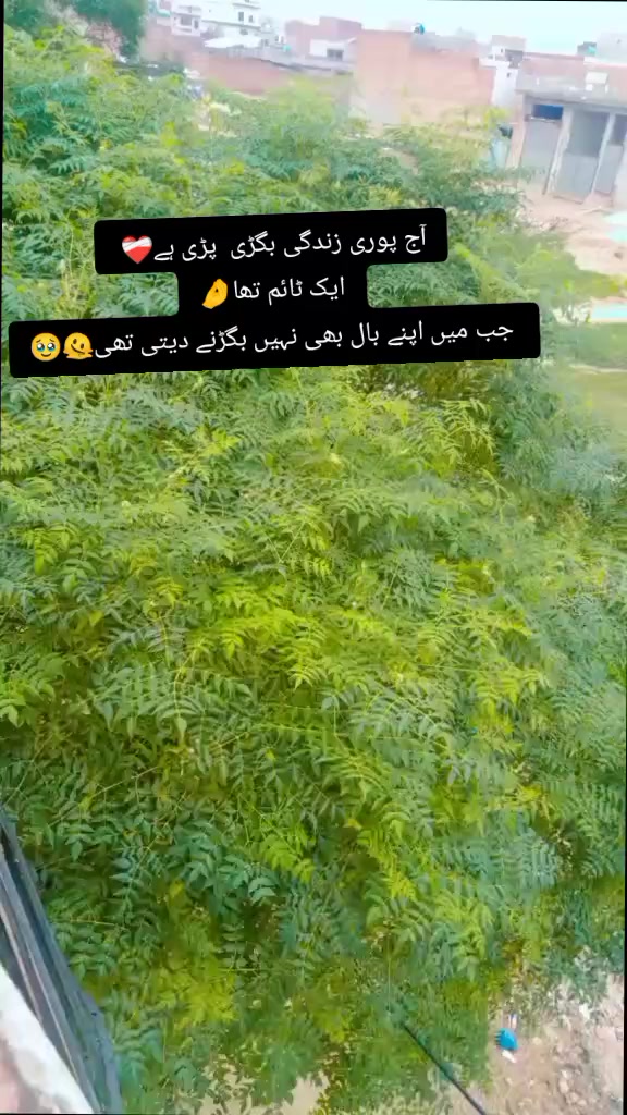 @Meerab 🥰