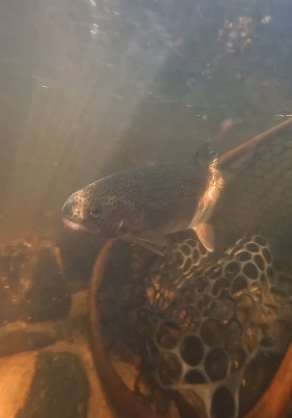 @FlyFishDelawhere