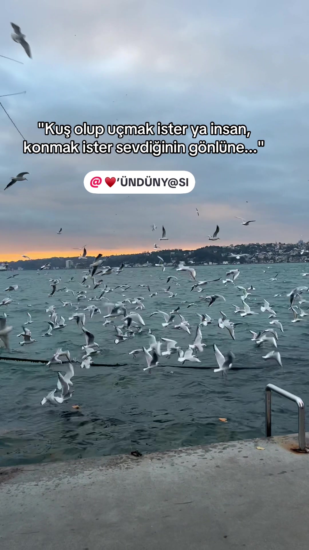 @♥️’ ÜN DÜNY@SI