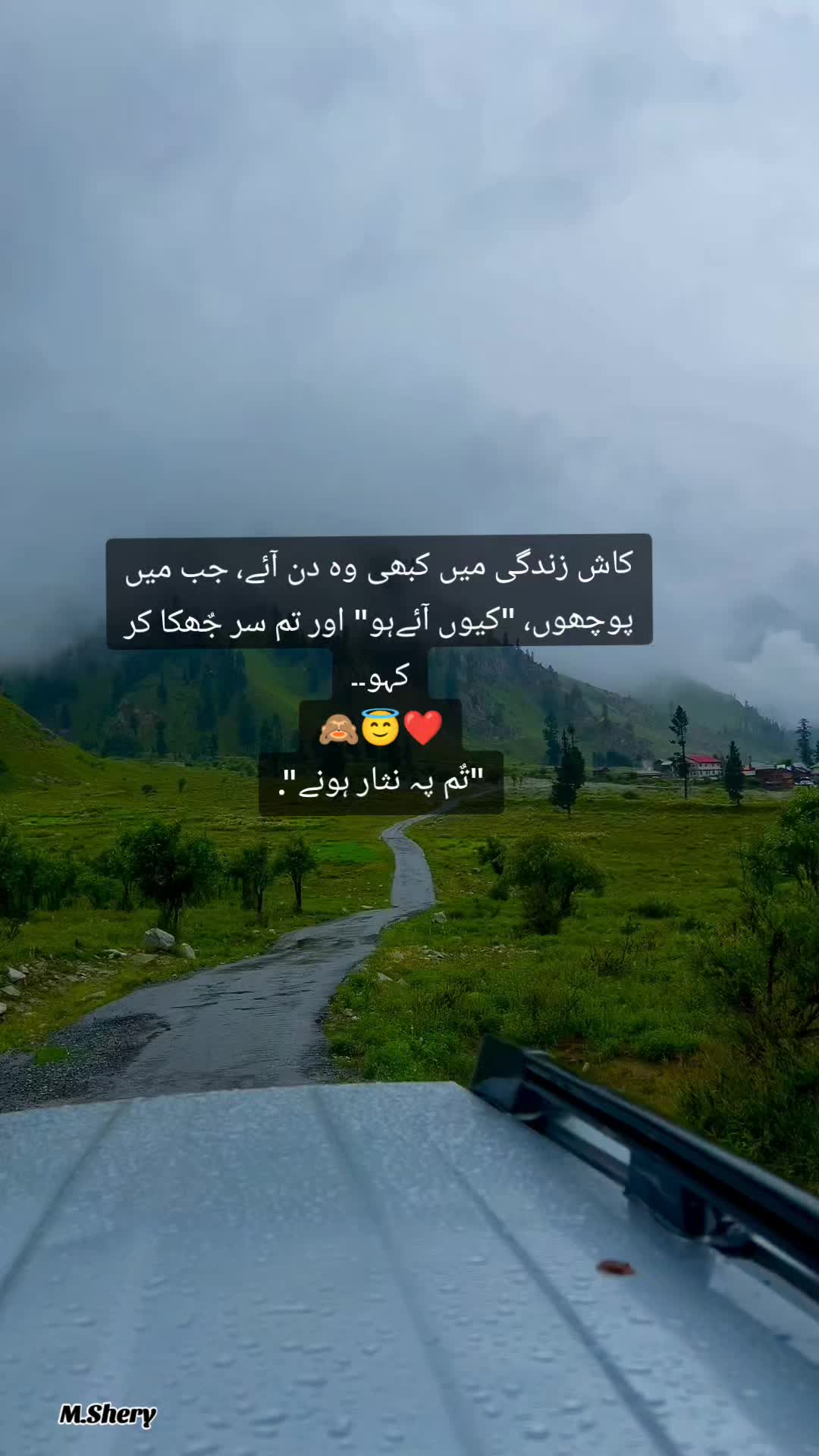 @Shery46