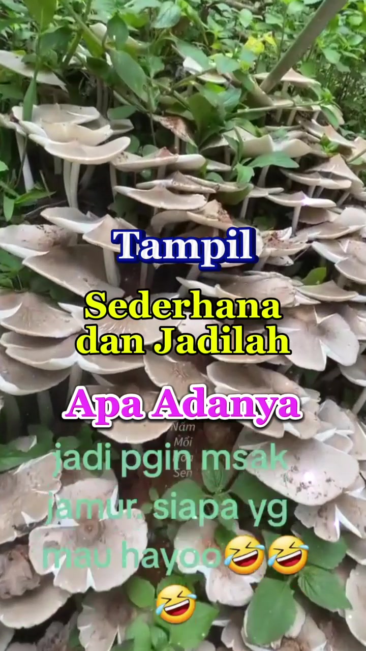 @Arini